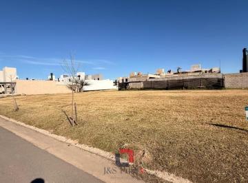 Terreno · 364m² · Terreno en San Ignacio Village
