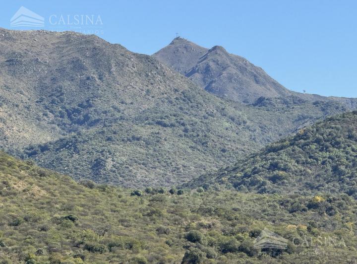 Terreno · 21516m²
