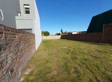 Terreno · 250m² · Terreno Calle Vigne Casi Av del Trabajo