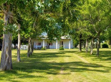 Campo · 35ha · 35 Has Agrícolas – Ganaderas en Magdalena