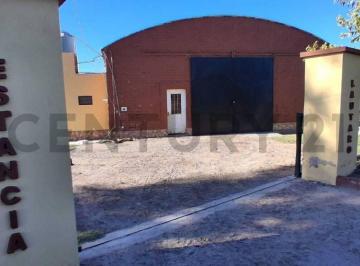 Campo · 1m² · 8 Ambientes · 1 Cochera · Finca de 31 Ha con Cañon y Malla Antigranizo en San Martin, Mendoza