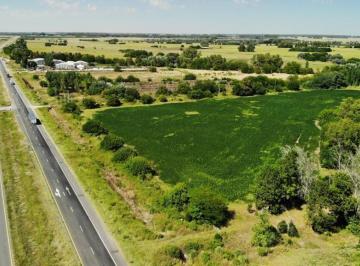 LGP-LGP-269_2 · Venta - Campo - Ruta 6 - General Rodríguez