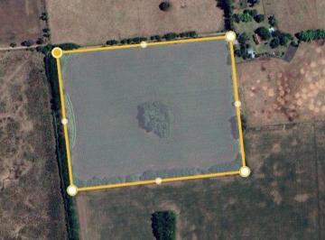 LGP-LGP-245_2 · Venta Campo General Rodríguez