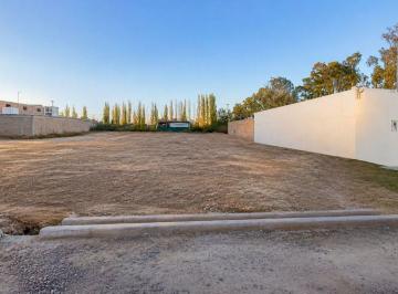 Terreno · 367m² · Venta Lote San Martin Mendoza