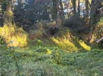 Terreno , Cariló · Venta Lote en Carilo