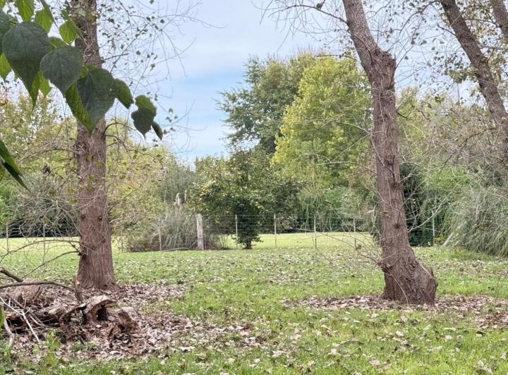 Terreno · 4011m²