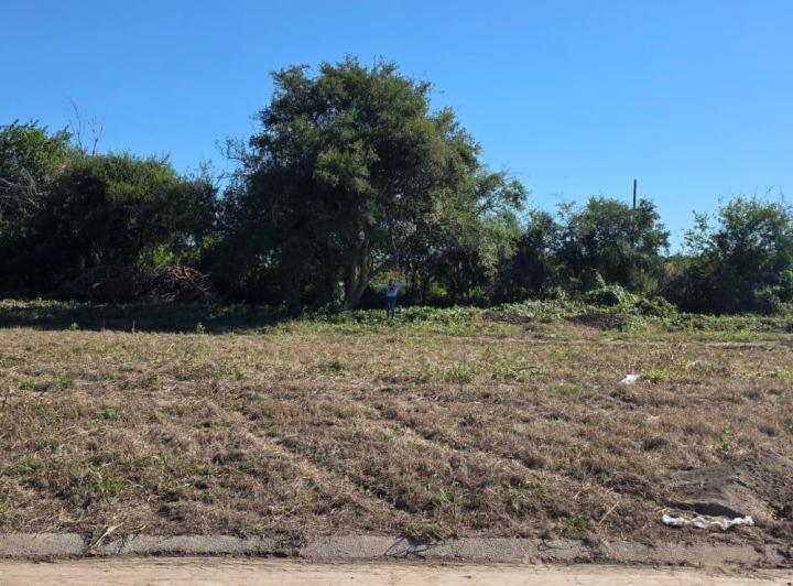 Terreno · 250m²
