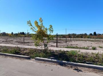 Terreno · 200m² · Terreno en Venta Barrio Natania 67
