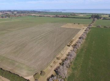 Campo · 67000ha · Hermosa Chacra (6,7 Has) con Vista Al Rio de La Plata
