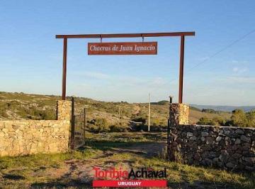 Campo · 50000ha · Chacra de 5 Hectáreas en Maldonado