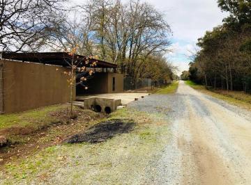 Terreno · 725m² · Terreno - Villa Elisa