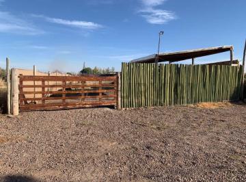 Terreno · 15m² · Venta de Terreno + Pileta + Quincho en Rodeo del Medio, Maipú, Mendoza.