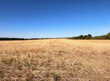 Campo · 5ha · Chacra de 5has en Venta en San Pedro - Colonia