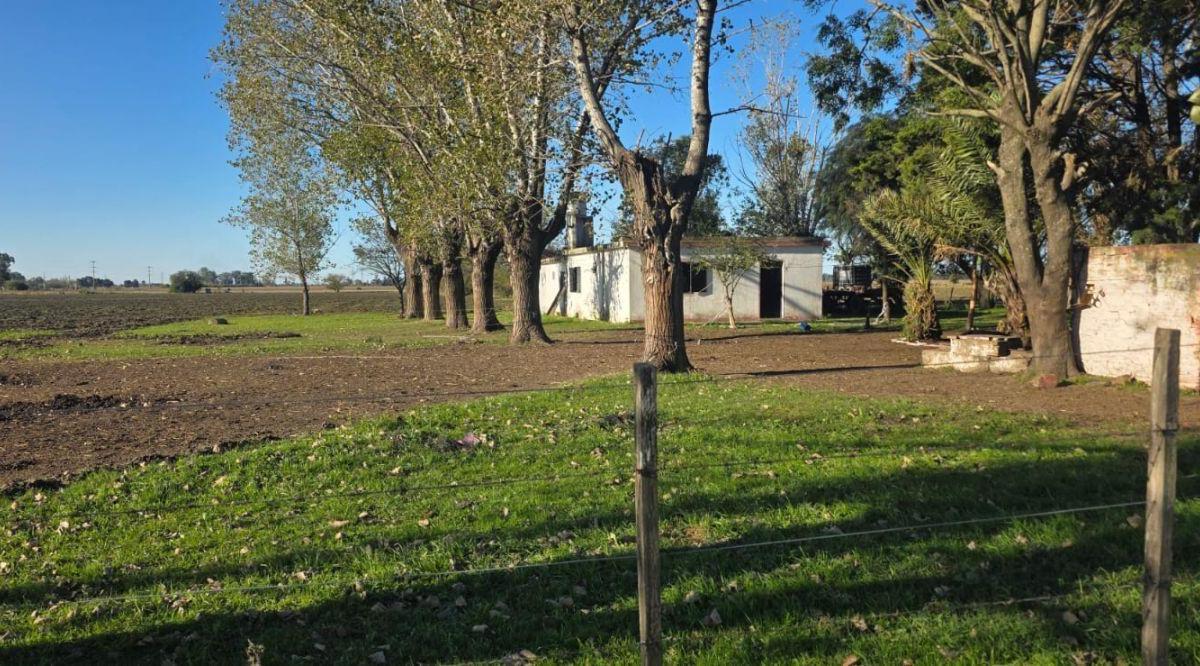 Loeffler  y Nahuel huapi,  Virrey del Pino, La Matanza