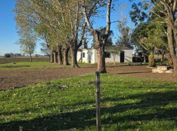MBJ-MBJ-265_2 · Venta Campo en Virrey del Pino, La Matanza