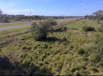 Terreno , Makallé · Terreno 1,8 Hectáreas
