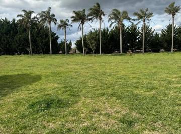 Campo , Chascomús · Que! Maravillosas Oportunidad 302 Ha en Venta en Giribone Sobre Ruta 58
