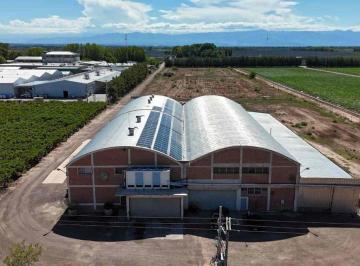 Campo · 2700ha · Bodega Productiva con Viñedos en Venta Mendoza