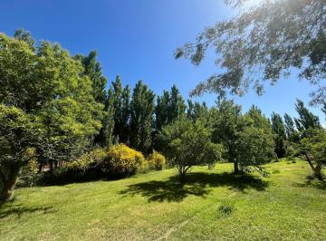 Campo · 333m² · Chacra Ne Centenario