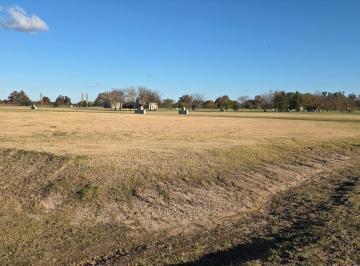 Terreno · 25000ha · Galpon en Pehuajo
