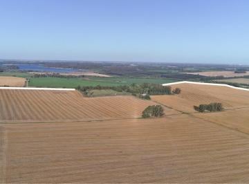Campo · 1290000ha · Sierra de Los Padres - 129 Ha Agricola con Excelente Potencial