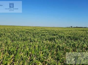Campo · 3970000m² · Campo en General Soler