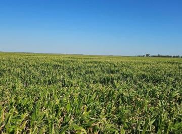 Campo · 3970000m² · Campo en General Soler