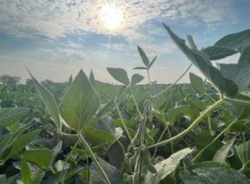 Campo · 341000ha · Venta de Campo Agrícola en Providencia - Las Colonias Santa Fe