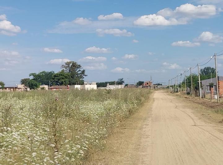 Terreno · 1000m²