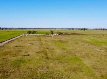 Campo · 273000m² · 1 Ambiente · Campo en Venta, (Aproximadamente 27,30 Ha) Piñero