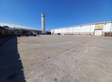 Depósito · 23000m² · Depósitos en Alquiler - Predio Multipropósito