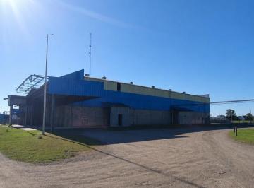 Bodega-Galpón · 1301m² · Galpón en Cordoba Capital