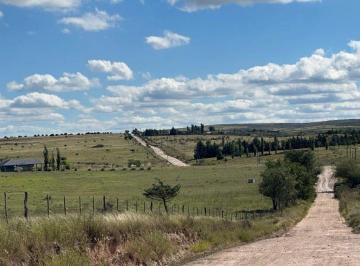 Campo · 10ha · Ha en La Cumbre Camino a Cuchi Corral
