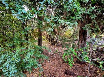 Terreno · 800m² · Venta Terreno Bo. San Ignacio del Cerro - Bariloche