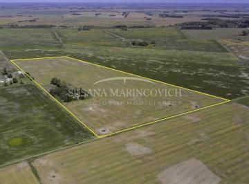 Campo · 220000ha · Campo de 22ha en Venta en Espora - San Andres de Giles