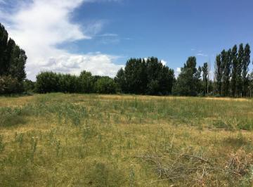 Terreno · 11000m² · Alquiler | Lote en Añelo Excelente Ubicacion