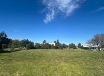 Terreno · 800m² · Lote en Venta en Barrio Santo Domingo Canning