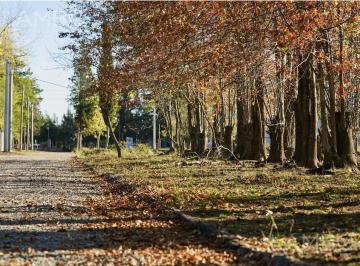 Terreno · 375m² · Venta Lote Terreno Pilar San Benicio