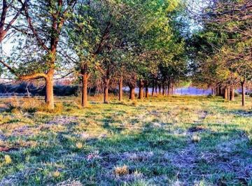Terreno · 600m² · Lote Reventa - El Paso, Pilar
