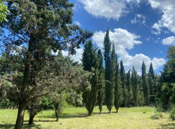 Terreno · 24000m² · Bajo de Precio! 2.4 Ha Para Loteo - Desarrollo en Pilar - Pilar