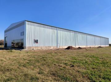 Bodega-Galpón · 2700m² · Galpon 2700 m² Cubiertos en Alquiler
