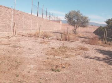 Terreno , Maipú · Terreno de 1300 m² en Alquiler en Coquimbito