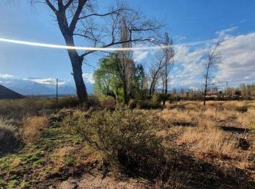 Campo · 1ha · Oportunidad de Inversión Campo Zona Cordillerana
