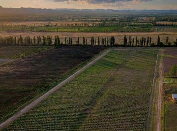 Terreno · 80m² · Inversión Única: Parcela Propia + 80 Bot. Malbec