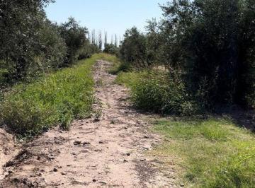Terreno · 5000m² · Venta de Finca Russell 5000 m. Producción Olivos