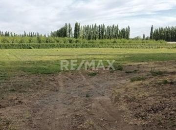Campo · 3ha · Venta 3.2 Has Calle 9 y m. Cicheros - Centenario