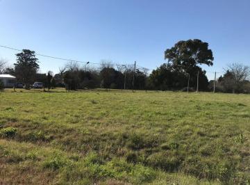 Terreno · 660m² · Lotes Terrenos en Venta Villa Elisa