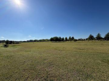 Terreno · 907m² · Lote en Venta – San Tomás Pueblo Verde.