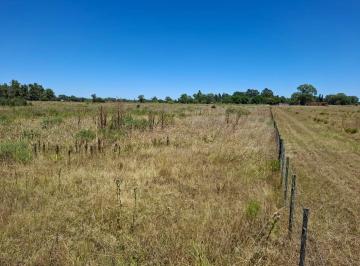 Campo · 3ha · Venta de 2.6 Hectáreas en San Miguel del Monte