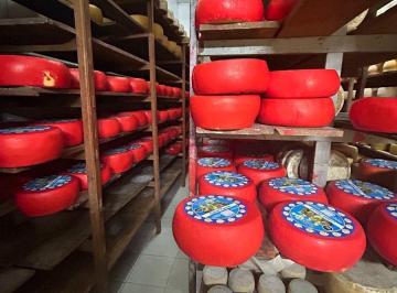 Fondo de comercio · 200m² · Venta de Llave Distribuidora de Quesos en Malvin